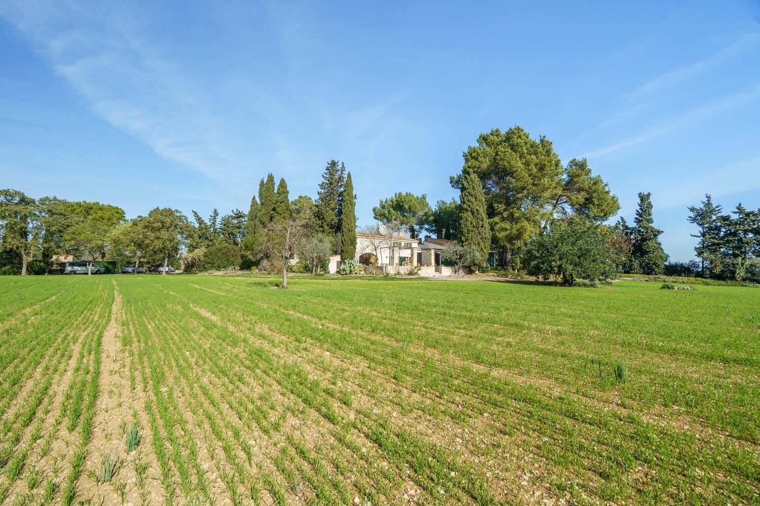 Can Canaver Villa